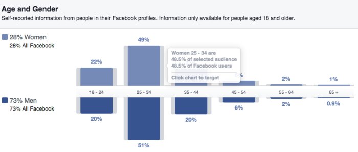 Facebook Advertising Business
